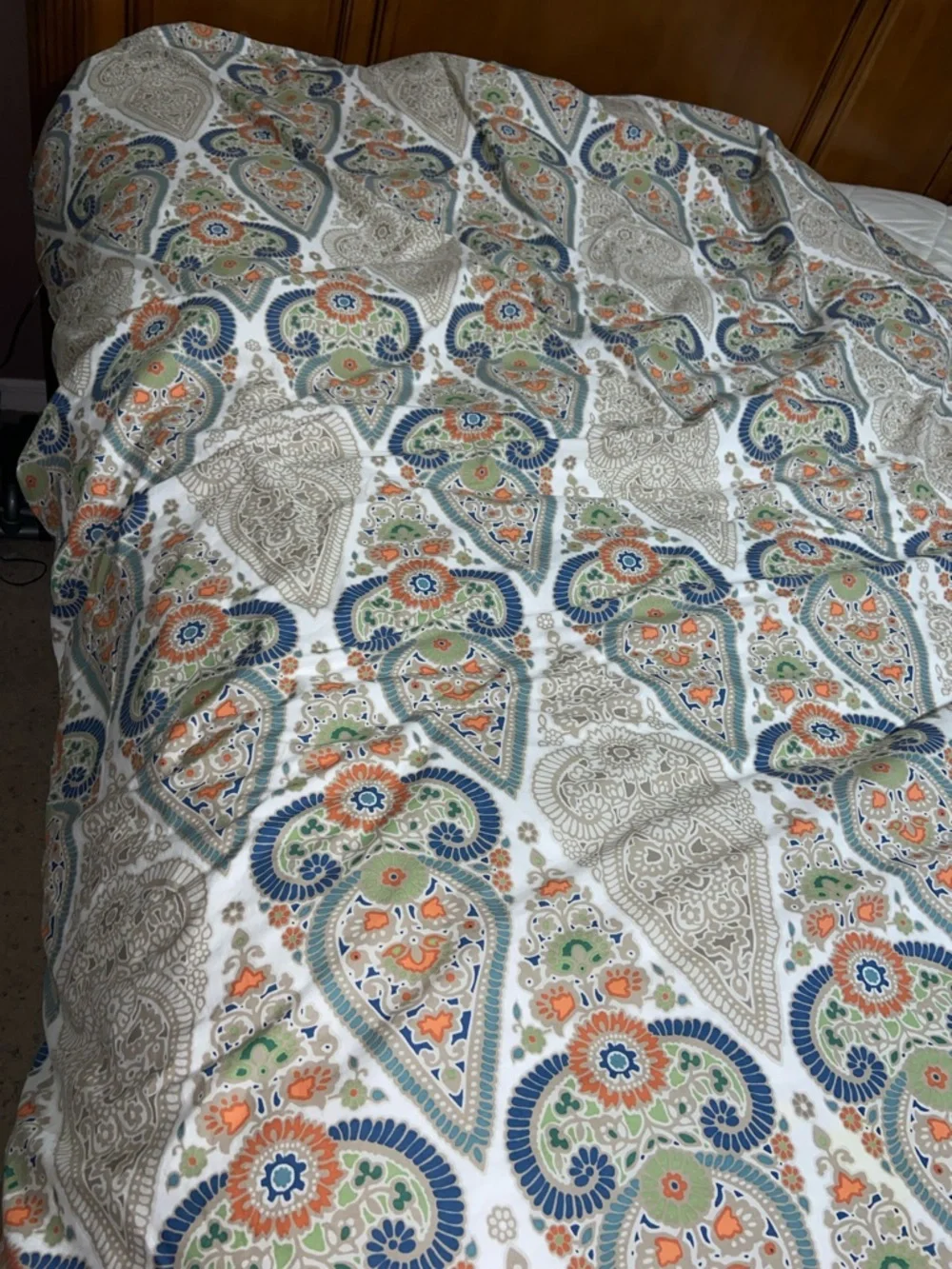 Like new Pottery Barn Gisela Paisley Twin Duvet set of 2 w PB teen comforters